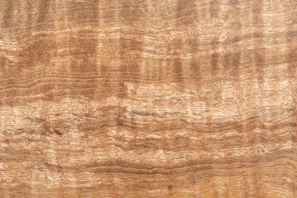 Quelles solutions pour une gestion efficace des services de restauration pour les grands événements?